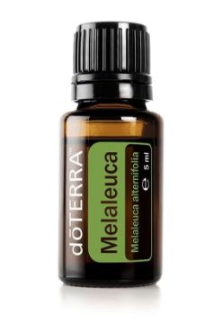 Pokaż szczegóły dla Doterra Olejek Melaleuca - drzewko herbaciane 5 ml Obrazek Doterra Olejek Melaleuca - drzewko herbaciane 5 ml